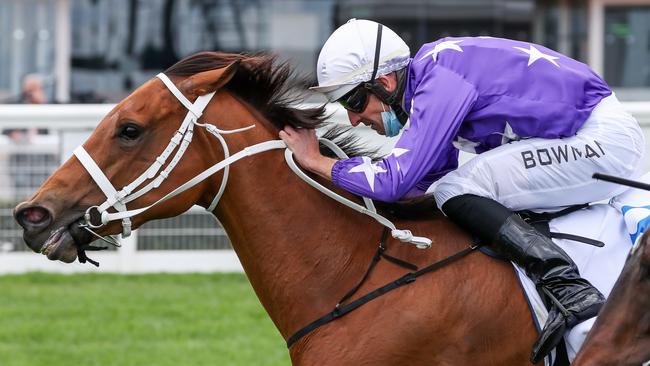 Fiesta is worth including in the last leg of the quaddie after winning at Caulfield last start. Picture: Getty Images