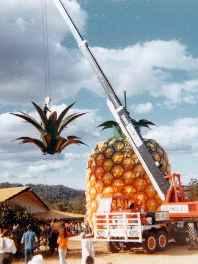 The Big Pineapple gets its finishing touches. Picture courtesy Clive Plater