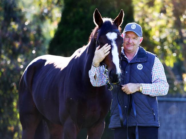 29/10/19 Trainer David Hayes with his Melbourne Cup runner Constantinople. Aaron Francis/The Australian