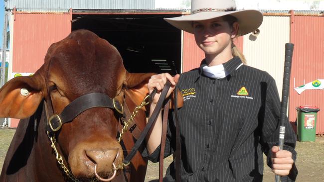 Stephane Samms getting some of the Beenleigh State High cattle ready for showing.