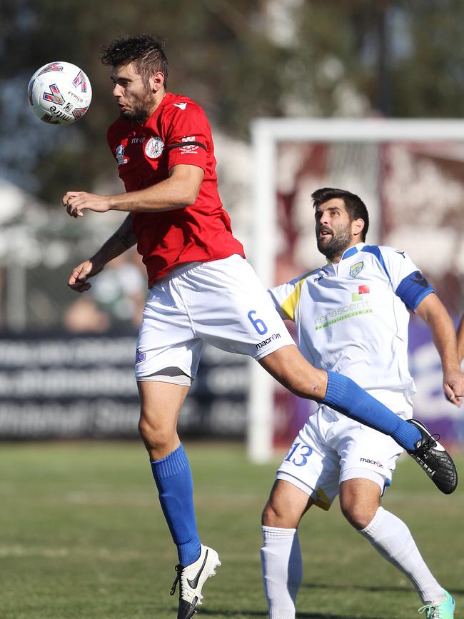 Melbourne Knights will again lean on the reliable Tomislav Uskok.