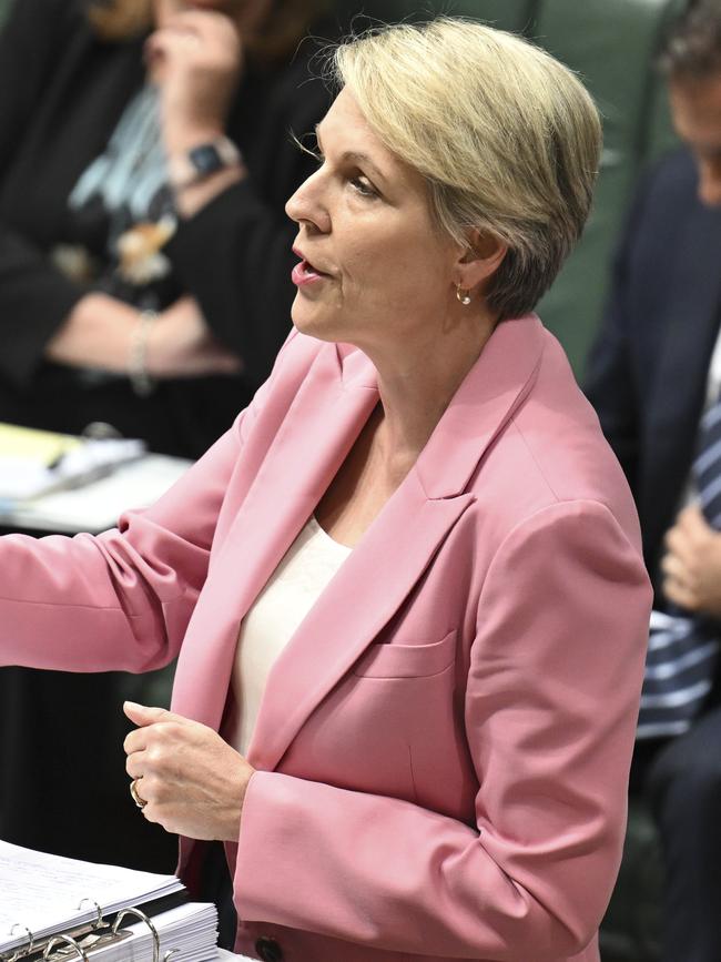 Minister for the Environment and Water of Australia, Tanya Plibersek. Picture: NewsWire / Martin Ollman