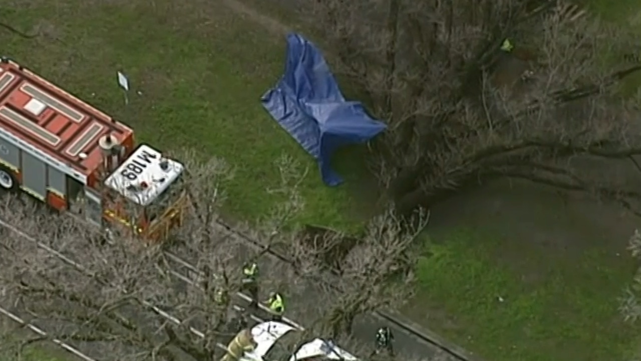 Woman Killed By Falling Tree In Melbourne Sky News Australia