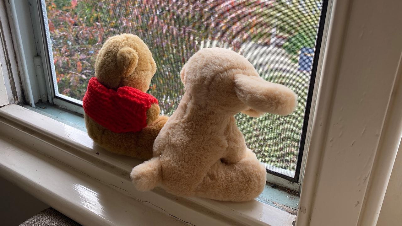 Bears and other soft toys ready to be spotted by passsers-by in Taroona, Tasmania.