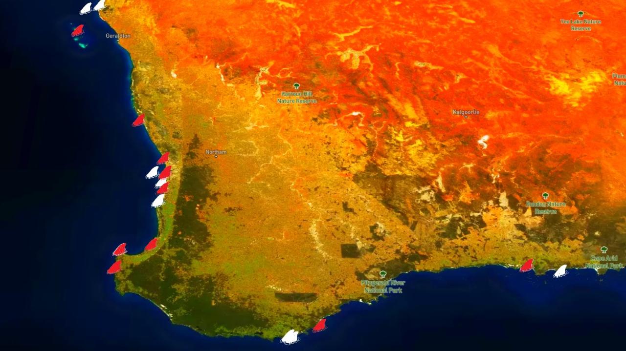 Interactive map reveals truth about sharks in Australia | The Advertiser