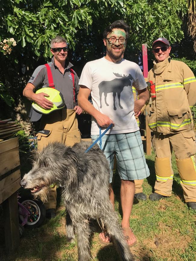 A family is safe after Boris, their staghound/wolf cross alerted them to a fire.