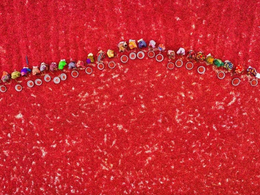 Workers sort chillies in Bangladesh