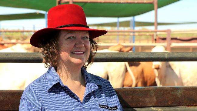 New aquisition: Gina Rinehart has purchased Glendon Park in New England, NSW.