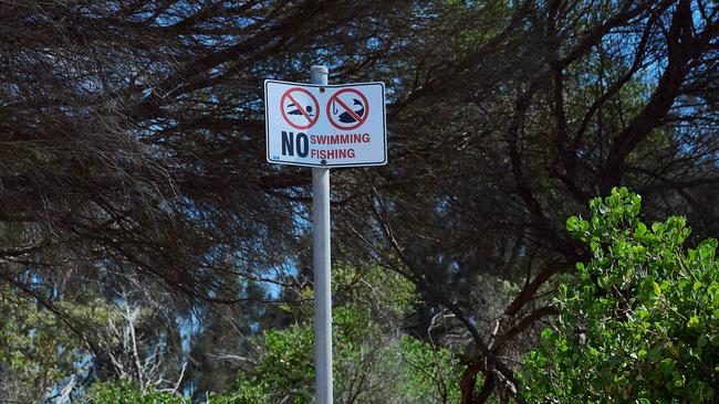 Resident Terry Daly told Nine newspapers he was angry about authorities lack of transparency about the beach closure. Picture: NewsWire / Flavio Brancaleone