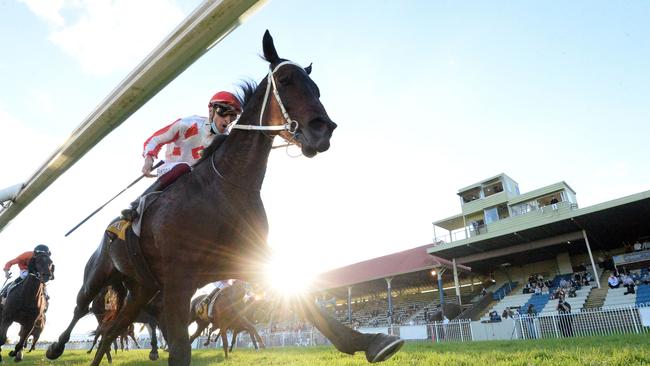 Ashley Morgan pushes Texas Storm on to win the 2021 South Grafton Cup for Bob Milligan. Photo: Trackside Photography.