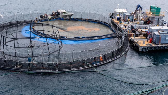 Aerial view of Tassal pens at Long Bay on the Tasman Peninsula. Picture: Supplied