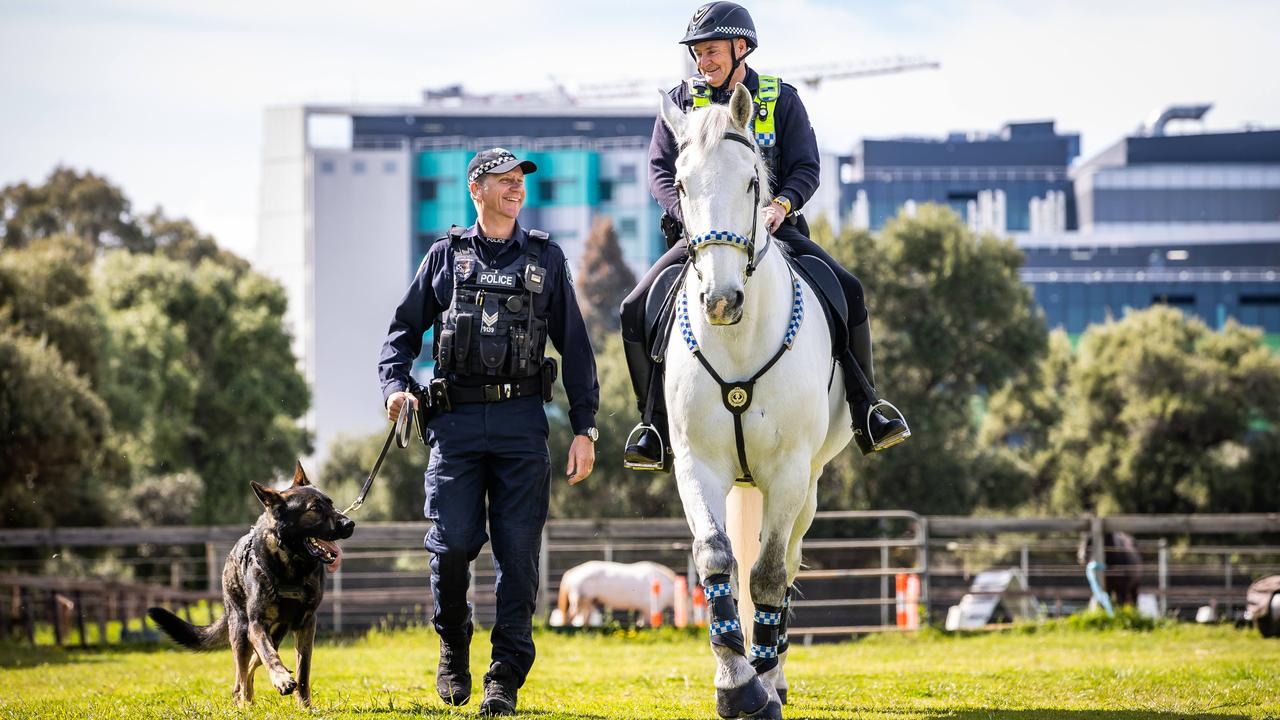 Dog handler Sargeant Simon Rosenhahn with police dog Bomber and mounted officer senior constable Darcy Wright, with police horse Yass. Picture: Tom Huntley