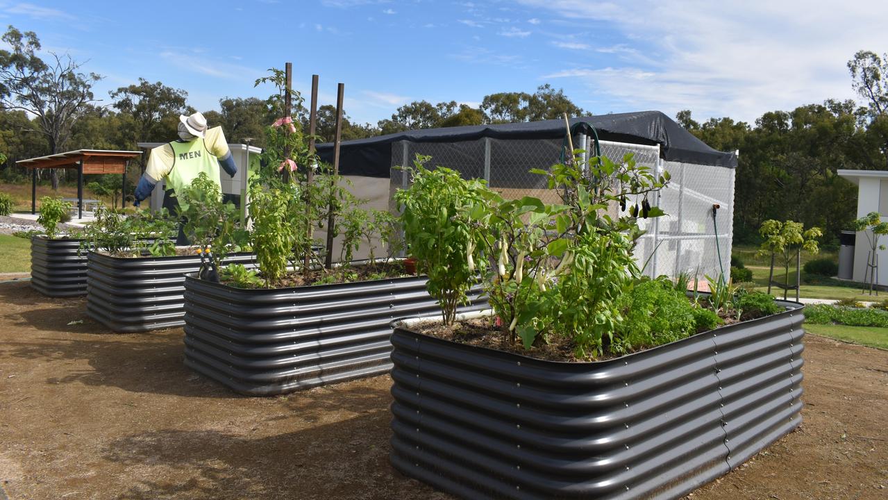 The community garden resident take part in tending to and learn gardening skills.