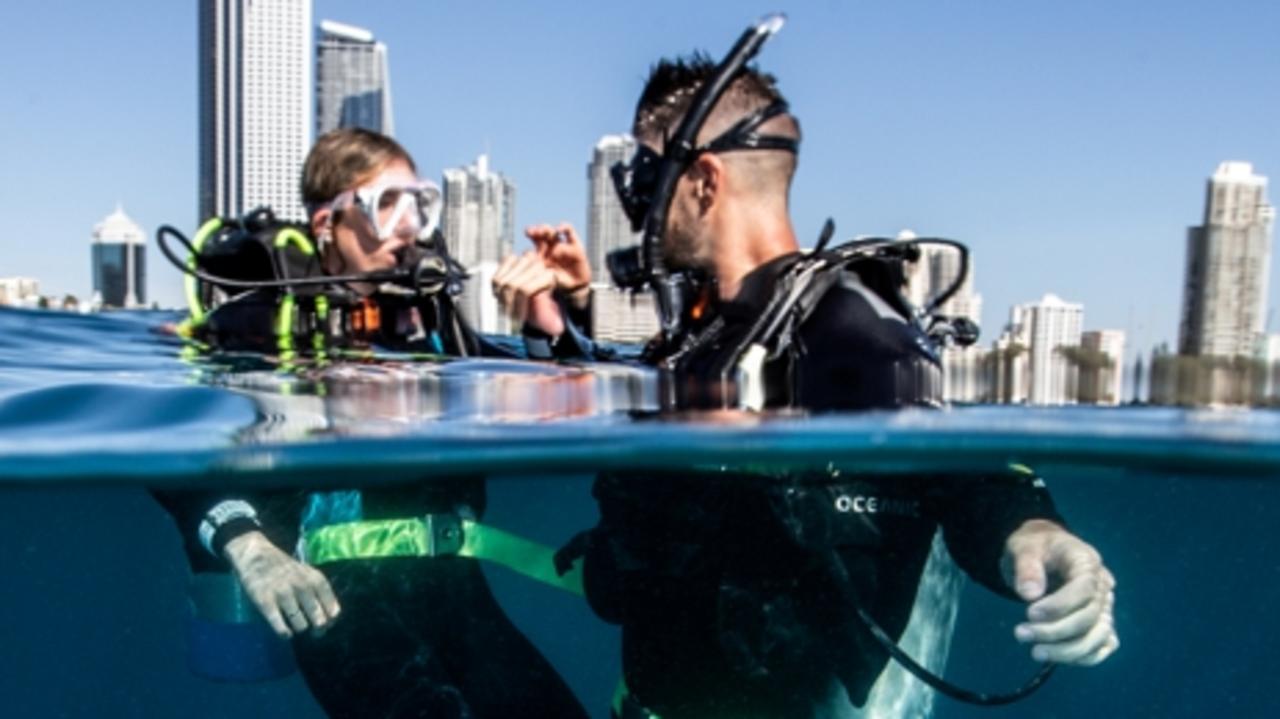 Double Dive At Wonder Reef On The Gold Coast Amazed AU