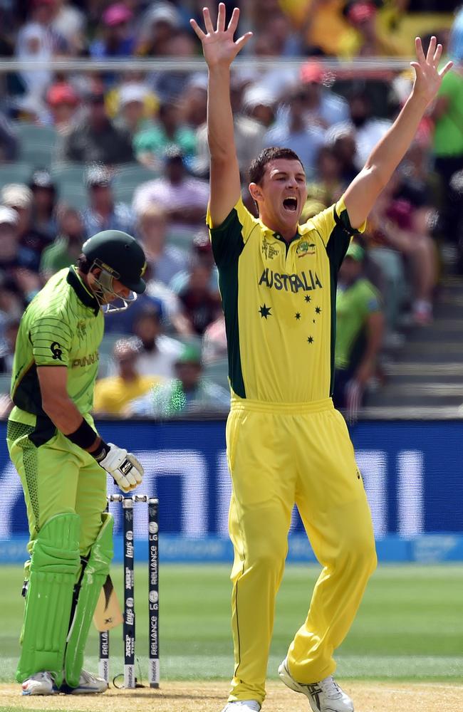 Josh Hazlewood found good rhythm against Pakistan.