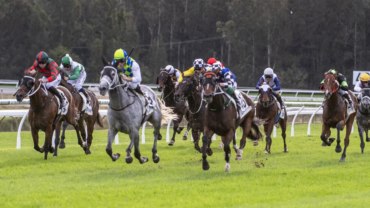 Gosford Gold Cup: Chris Waller starting to reap rewards with Polly Grey ...