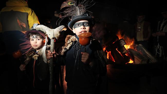 Siblings Rachel, 4 and Julian Tack, 6 of Geeveston were some of the small amount of lucky guests that got to attend the Willie Smith Mid-Winter Festival. Picture: LUKE BOWDEN