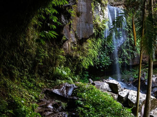 Curtis Falls at Mt Tamborine, captured in a long exposure as part of a 366 Project, or photo-a-day project, by Jennifer Dudley-Nicholson.