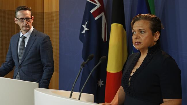 Assistant Treasurer Stephen Jones and Communications Minister Michelle Rowland. Picture: John Appleyard