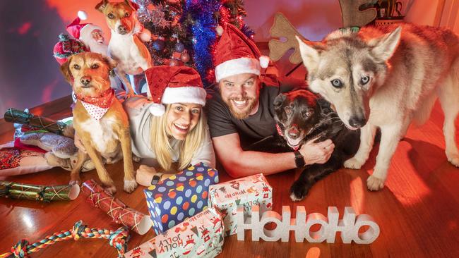 Emma Williams and Ben Meyer with their dogs Marshall, Poppy, Freddy and Faith. Picture: Rob Leeson