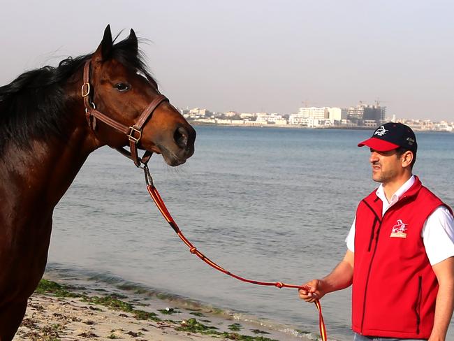 Radwan Ashaab, brother of Amad, with a stallion Eavesdropper in the Tripoli Sea