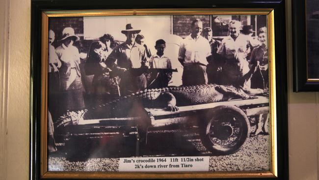 Copy of photo at the Hideaway Hotel at Tiaro showing a crocodile that was shot in the Mary River in 1964. Story on saltwater crocodile living upstream of the Beaver Rock Boat ramp in the Mary River at Maryborough. Pics Tim Marsden