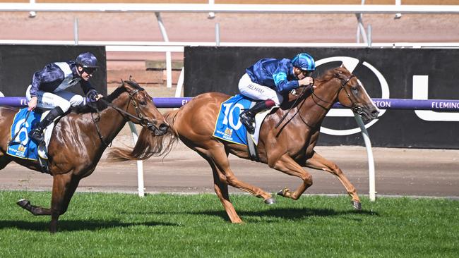 Archo Nacho went super in the Poseidon Stakes. Picture: Reg Ryan - Racing Photos