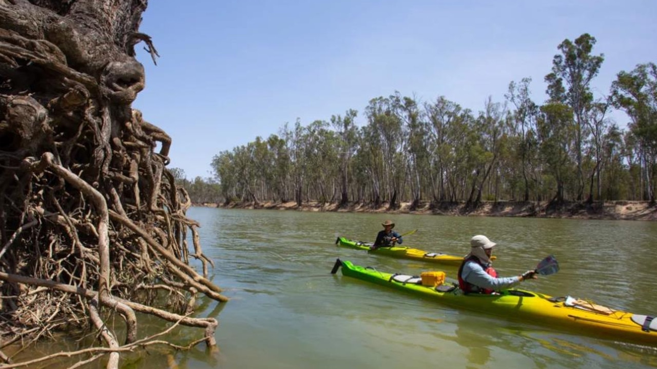 Kayakers on the Murray River as part of the Helping the Murray Sing project. Picture: Jason Macqueen