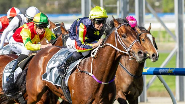 Goldrush Guru scores a win at Morphettville Parks on Saturday. Picture: Makoto Kaneko