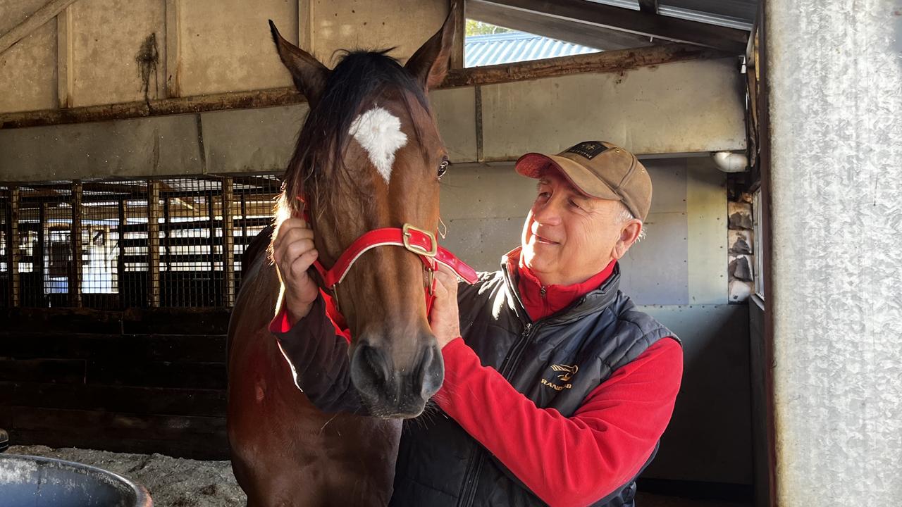‘Buggered if I know’: Trainer eyes another big collect after $101 heist ...