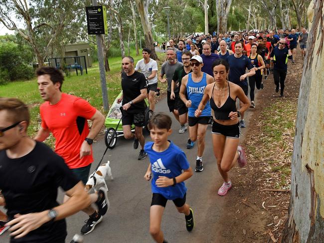 Runners taking part in Park Run along the Torrens River. Picture: Tom Huntley