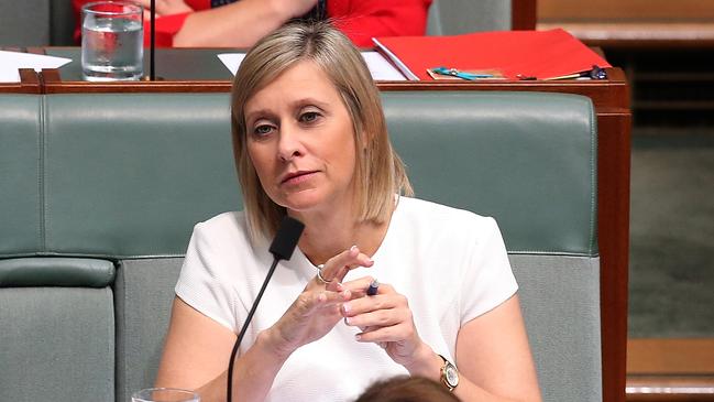 Susan Lamb in parliament yesterday. Picture: Kym Smith