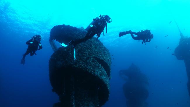 Wonder Reef, Gold Coast