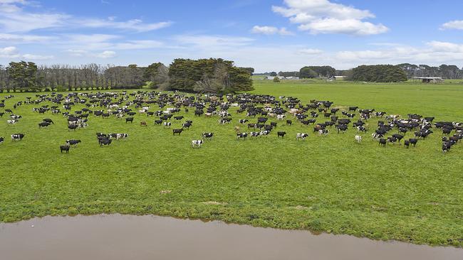 Spring Park dairy had 950 cows producing about six million litres of milk annually.