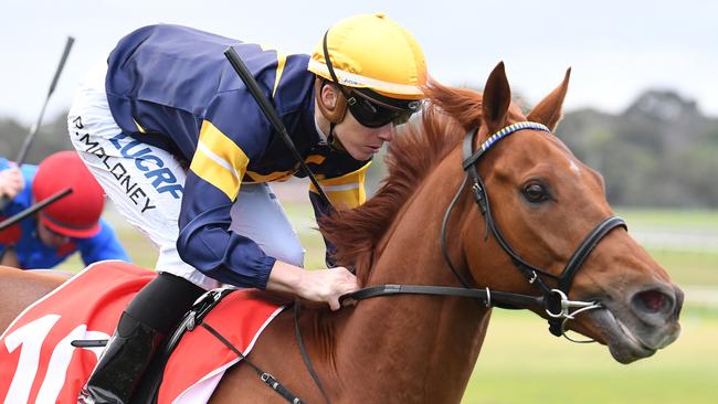 Hang Man has drawn well and will be hard to beat at Caulfield. Picture: AAP