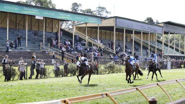 In Race 1 in front of some empty stands, "Azurite" wins the Kloses/Melt Benchmark 82 Handicap. Picture: Dean Martin