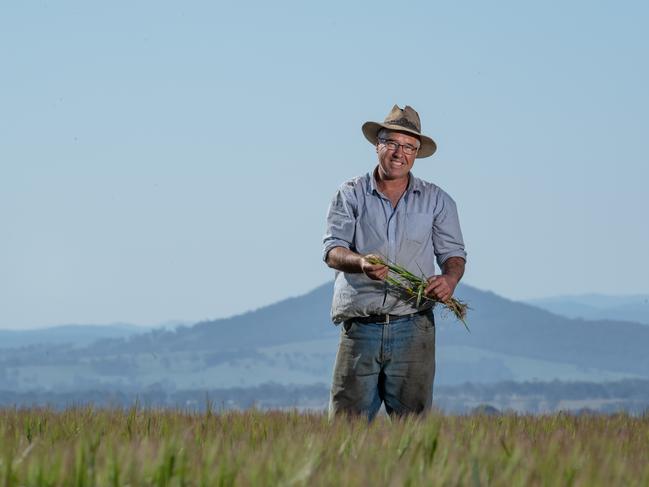 Bairnsdale mixed cropping and beef farmer Trevor Caithness says profit starts with soil quality. Picture: Jason Edwards