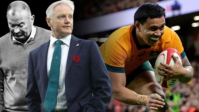 Wallabies rebuild Joe Schmidt art