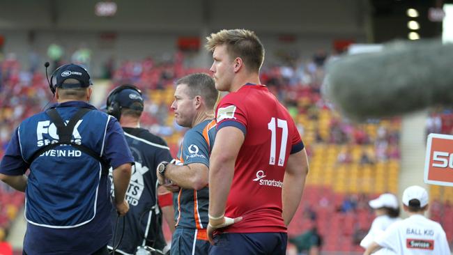 New Queensland Reds prop Harry Hoopert. Photo: Brendan Hertel, QRU