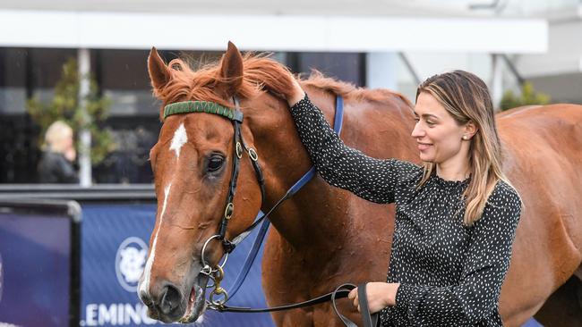 Joyful Fortune after winning the Myer Fashions on the Field Sprint at Flemington last month. Picture: Brett Holburt/Racing Photos via Getty Images