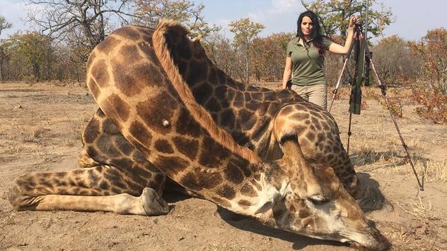 Trophy hunt ... Sabrina Corgatelli sparked outrage after sharing a photo of her with a dead giraffe. Picture: Facebook/Sabrina Corgatelli