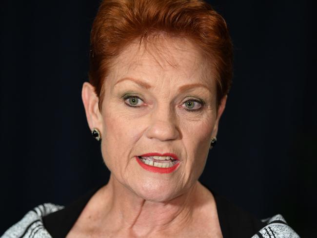 One Nation leader Senator Pauline Hanson holds a doorstop following the opening of the 57th Parliament at NSW Parliament in Sydney, Tuesday, May 7, 2019. (AAP Image/Joel Carrett) NO ARCHIVING