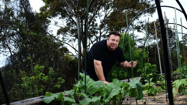 Going green: Peter Gilmore grows heirloom vegetables in his Bayview vegetable garden. Picture: Braden Fastier.