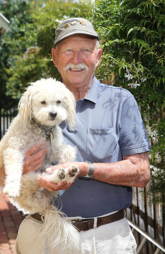 Spike ran more than 3km to the aged care home after being spooked by lightning. Picture: Peter Ristevski