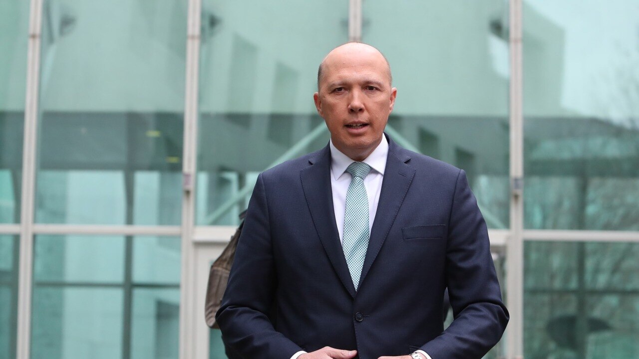 Leaked documents reveal Dutton also intervened in Italian au pair case