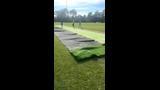 cricket-pitch