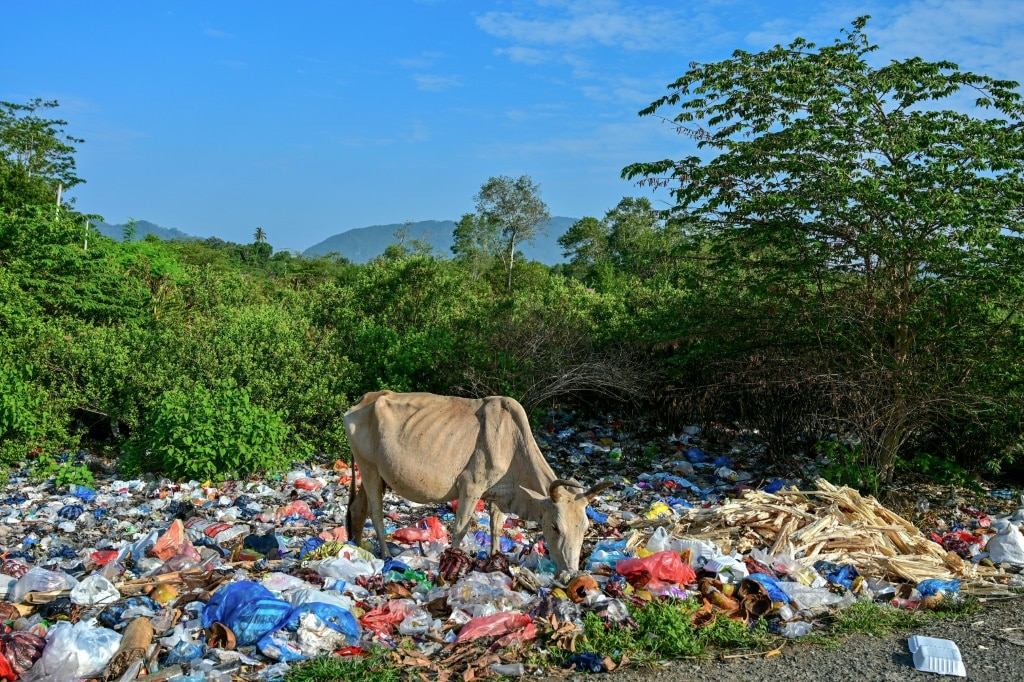 Burning trash a major source of plastic pollution: study | news.com.au ...