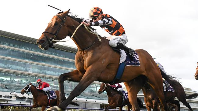 The Corstens stable are expecting an improved showing from The Astrologist in the Lightning Stakes. Picture: Pat Scala/Racing Photos via Getty Images