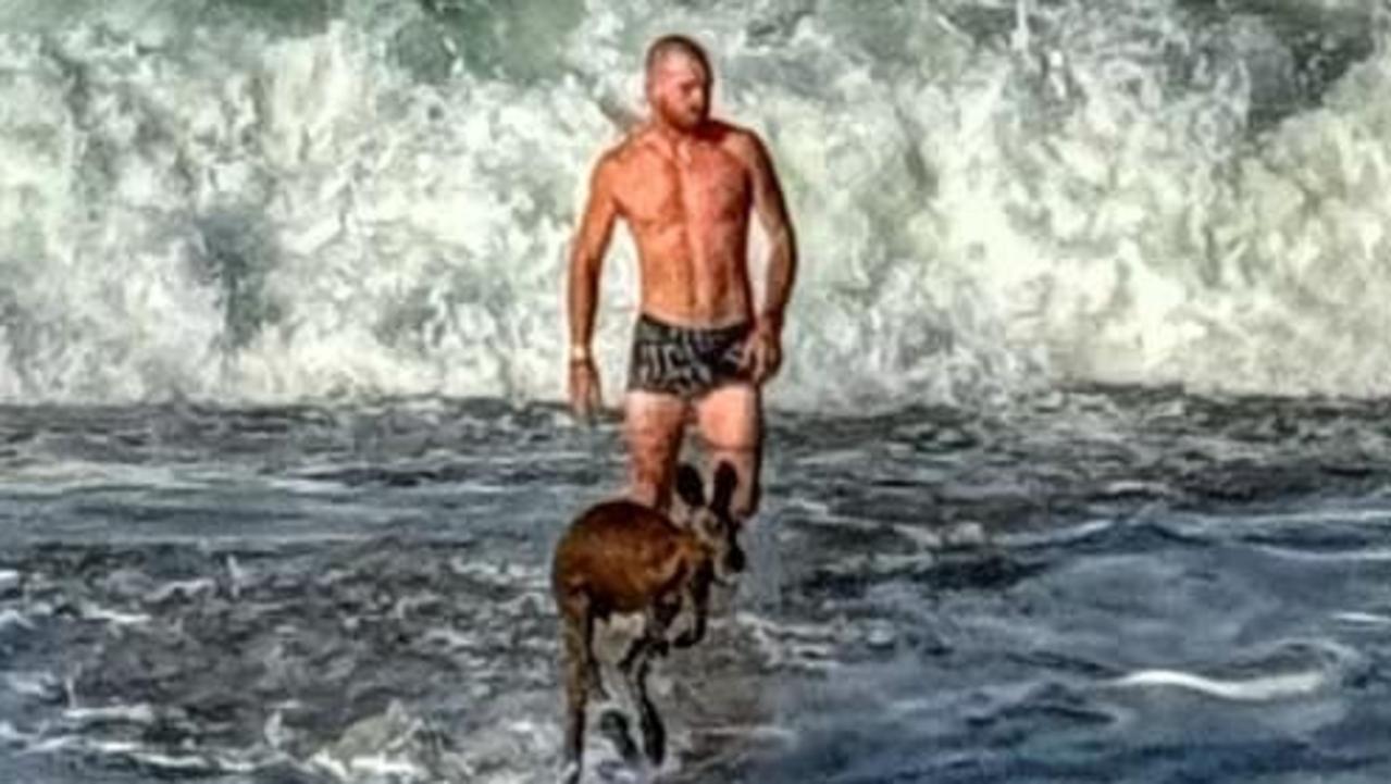 ‘Legend with a six pack’: Man strips to save kangaroo at beach