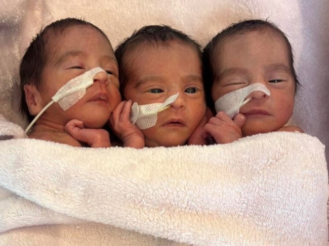 Identical triplets Aurora, Niara and Moana Alves were born on January 2 at the Royal Hobart Hospital. Picture: Supplied/  Department of Health.